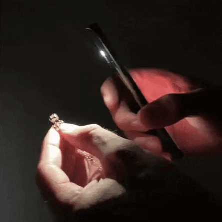 Çünkü Normal Mücevher Sıkıcıdır